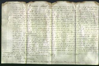 Court of Common Pleas - Elizabeth Eliza Baker-Original Ancestry