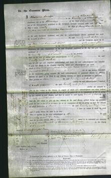 Court of Common Pleas - Emily Hands, Julia Lawrence-Original Ancestry