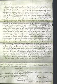 Court of Common Pleas - Mary Bease-Original Ancestry