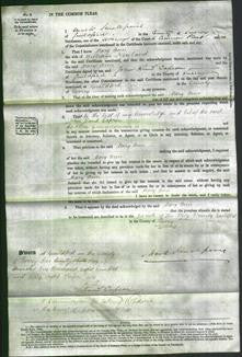 Court of Common Pleas - Mary Ann Newland-Original Ancestry