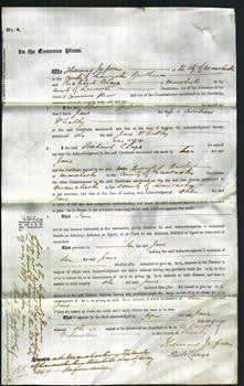 Court of Common Pleas - Jane Whalley-Original Ancestry