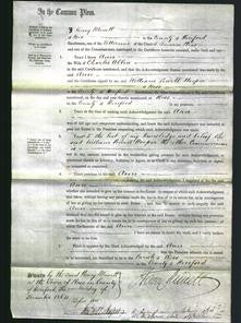 Court of Common Pleas - Ann Allen-Original Ancestry