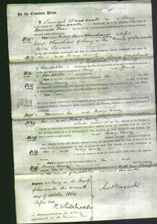 Court of Common Pleas - Mary Anne Openshaw-Original Ancestry