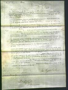 Court of Common Pleas - Frances Sophia Newland-Original Ancestry