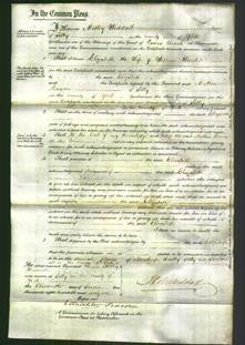 Court of Common Pleas - Elizabeth Hindell-Original Ancestry