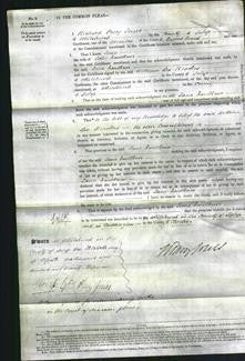 Court of Common Pleas - Jane Faulkner-Original Ancestry