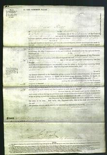 Court of Common Pleas - Ann Baker and Mary Johnson-Original Ancestry