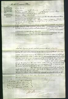 Court of Common Pleas - Charlotte Woodroffe-Original Ancestry