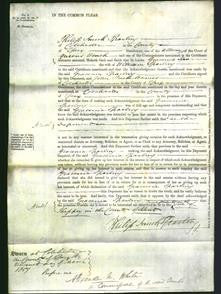 Court of Common Pleas - Gracenia Sparling-Original Ancestry