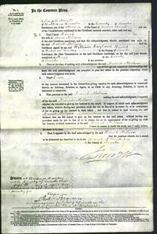 Court of Common Pleas - Dinah Millson-Original Ancestry