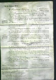 Court of Common Pleas - Jane Hagger, Mary Ann Root, Clara Milbourn-Original Ancestry