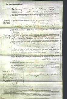 Court of Common Pleas - Emma Rowles-Original Ancestry