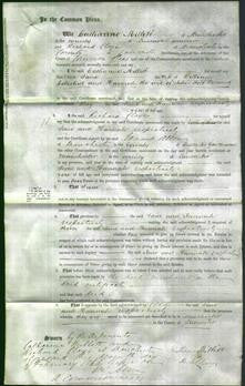 Court of Common Pleas - Jane Coleshill, Hannah Creswick-Original Ancestry