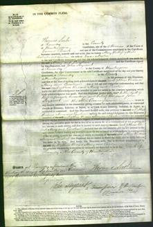 Court of Common Pleas - Mary Ridlington-Original Ancestry