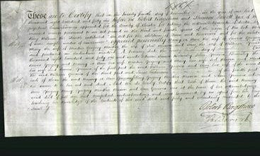 Deed by Married Women - Nanny or Ann Gregory, Mary Gregory, Martha Mason and Ann Greaves-Original Ancestry