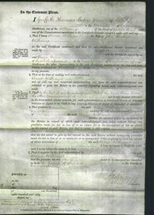 Court of Common Pleas - Anne Williams-Original Ancestry