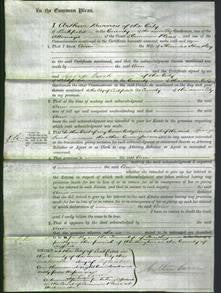 Court of Common Pleas - Ann Heatley-Original Ancestry