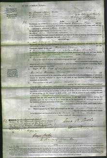 Court of Common Pleas - Louisa Harford-Original Ancestry
