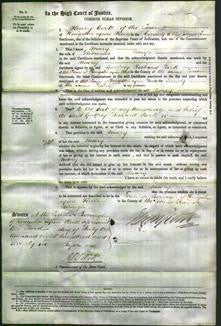 Court of Common Pleas - Mary Swife-Original Ancestry