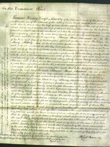 Court of Common Pleas - Mary Sadleir, Sarah Moody and Martha Stevenson-Original Ancestry