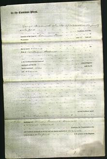 Court of Common Pleas Part 1 - Maria Holmes-Original Ancestry