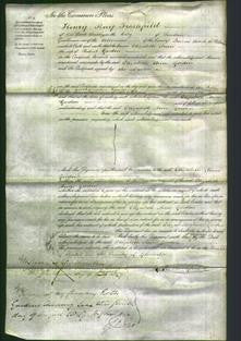 Court of Common Pleas - Elizabeth Ann Gordon-Original Ancestry