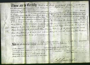 Deed by Married Women - Mary Newman Debnam-Original Ancestry