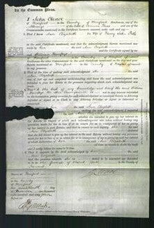 Court of Common Pleas - Ann Elizabeth Potts-Original Ancestry