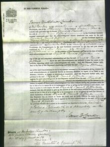 Court of Common Pleas - Elizabeth Parratt Giffard-Original Ancestry