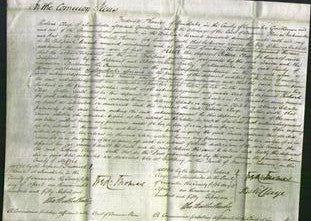 Court of Common Pleas - Louisa Matchitt-Original Ancestry