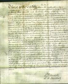 Deed by Married Women - Mary Sadleir, Sarah Moody and Martha Stevenson-Original Ancestry