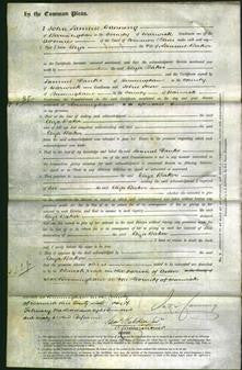 Court of Common Pleas - Eliza Baker-Original Ancestry