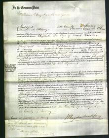 Court of Common Pleas - Elizabeth Turner-Original Ancestry