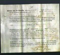 Deed by Married Women - Alice Bruce-Original Ancestry