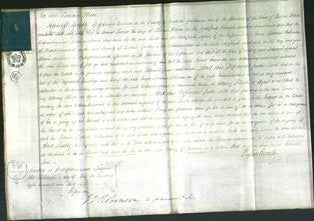 Court of Common Pleas - Tamer Nimms-Original Ancestry