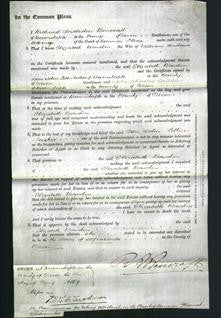 Court of Common Pleas - Elizabeth Bowden Andrews-Original Ancestry