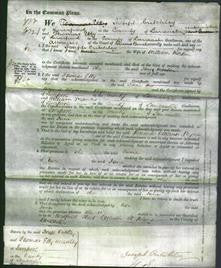 Court of Common Pleas - Jane Morton-Original Ancestry