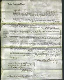 Court of Common Pleas - Susan Meredith-Original Ancestry