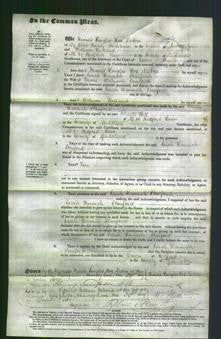 Court of Common Pleas - Sarah Hannah Stanford-Original Ancestry