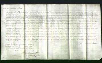 Court of Common Pleas - Emily Wright, Sarah Ann Hobson and Mary Ward-Original Ancestry