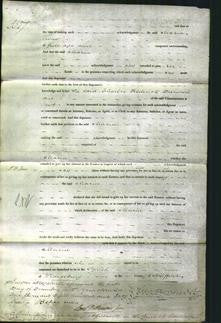 Court of Common Pleas Part 2 - Maria Holmes-Original Ancestry