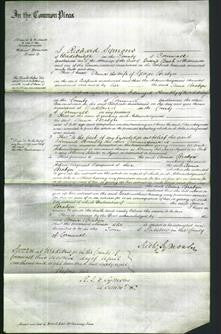 Court of Common Pleas - Anna Brabyn-Original Ancestry