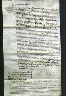 Court of Common Pleas - Emma Goodlad-Original Ancestry