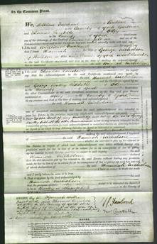 Court of Common Pleas - Hannah Nicholson-Original Ancestry