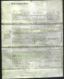 Court of Common Pleas - Charlotte Clark, Ann Pratt, Sarah Duffin and Mary Pratt-Original Ancestry