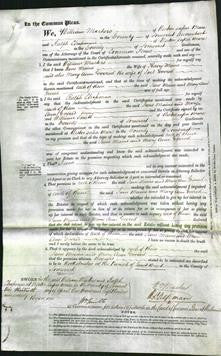 Court of Common Pleas - Jane Maine and Mary Anne Evered-Original Ancestry