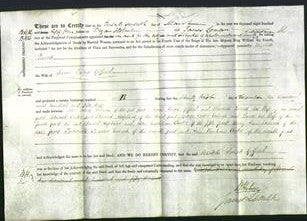 Deed by Married Women - Elizabeth Parratt Giffard-Original Ancestry