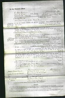 Court of Common Pleas - Elizabeth Goodson, Fanny Holmes-Original Ancestry