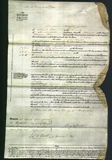 Court of Common Pleas - Elizabeth Sharples-Original Ancestry