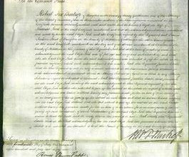 Court of Common Pleas - Eliza Lock-Original Ancestry